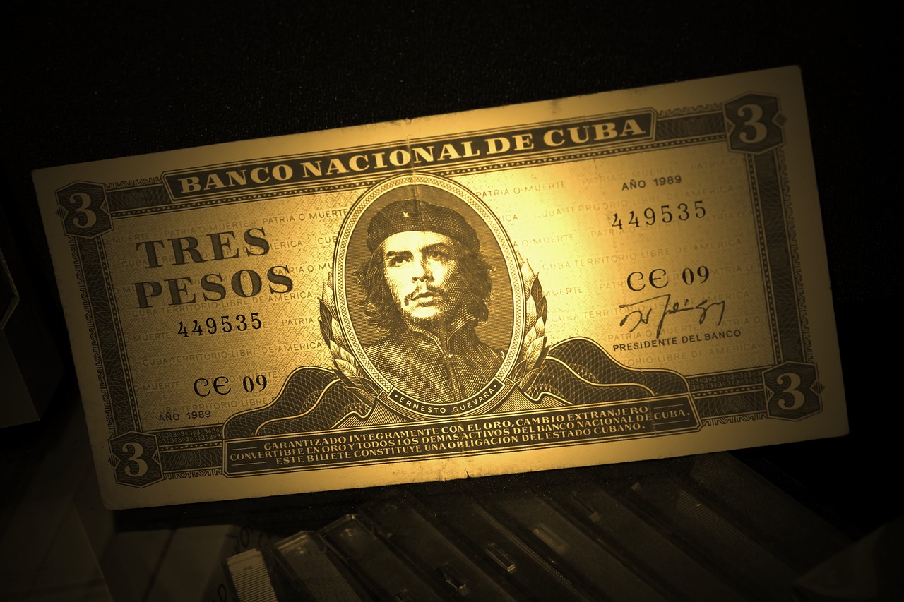 dollar bill che guevara money free photo
