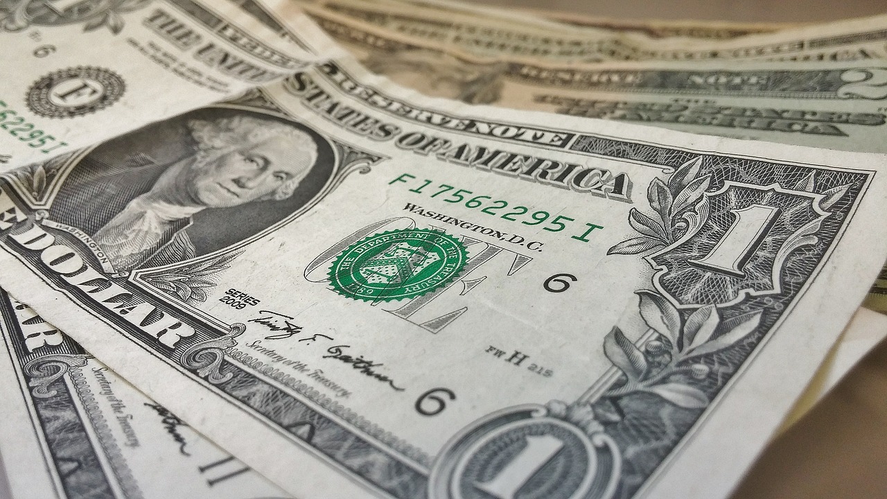 dollars banknotes money free photo