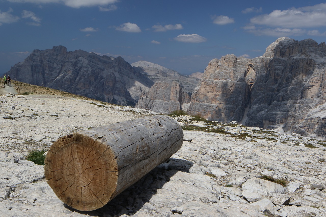 dolomite log landscape free photo