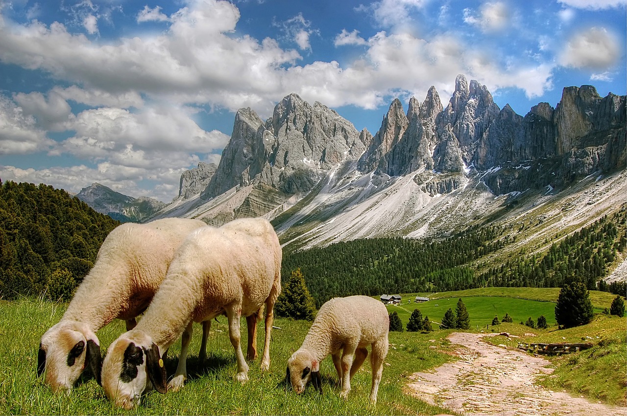 dolomites mountains south tyrol free photo