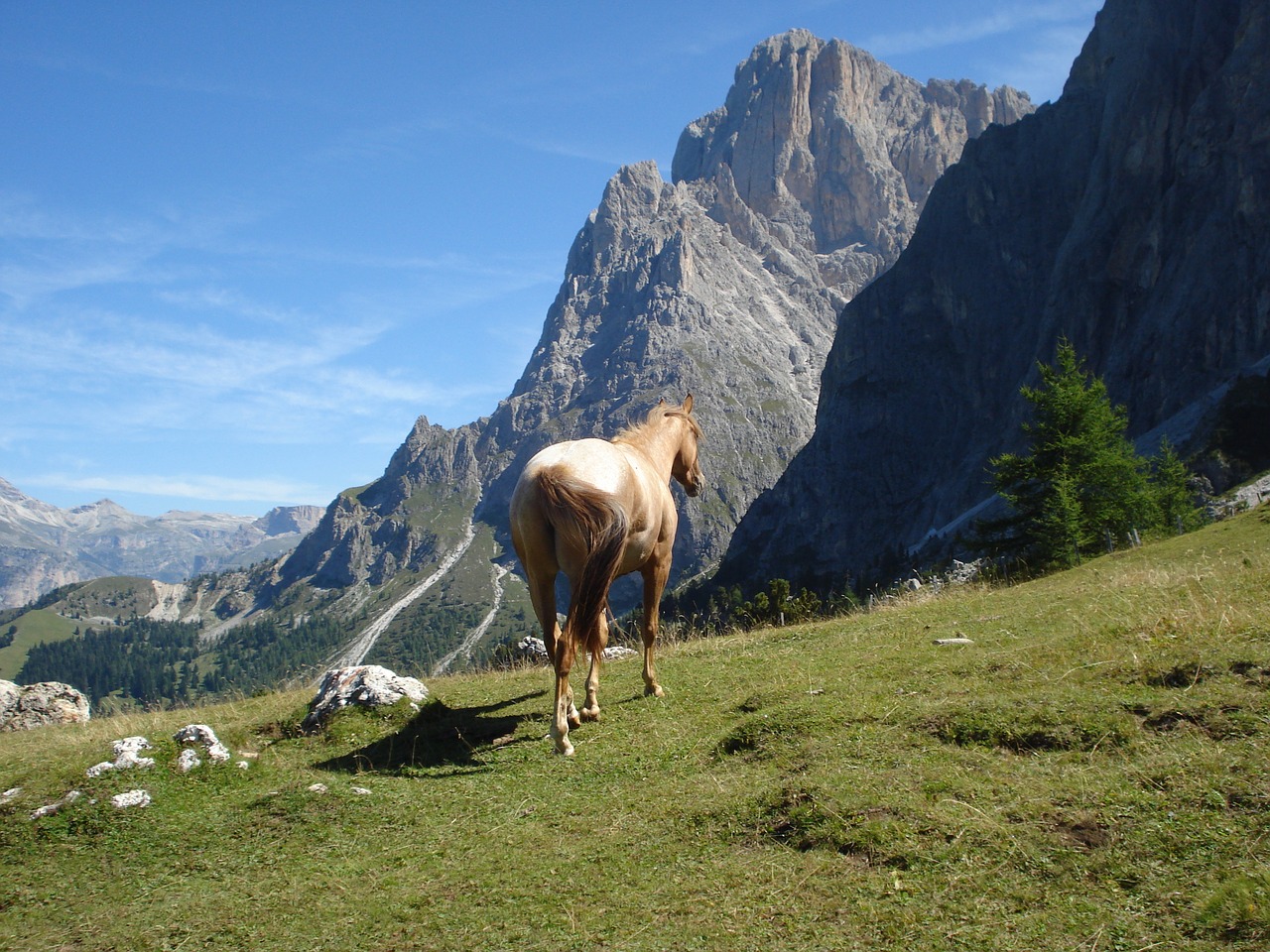 dolomites val gardena south tyrol free photo