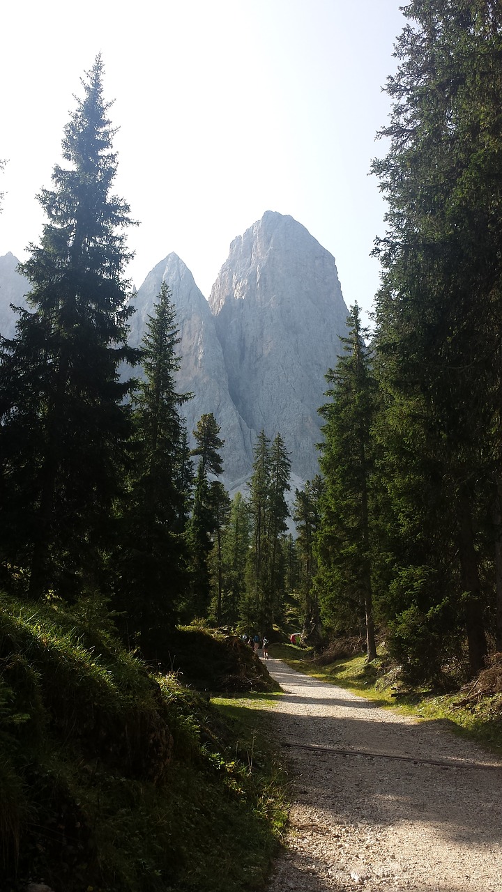 dolomites  hiking  trekking free photo