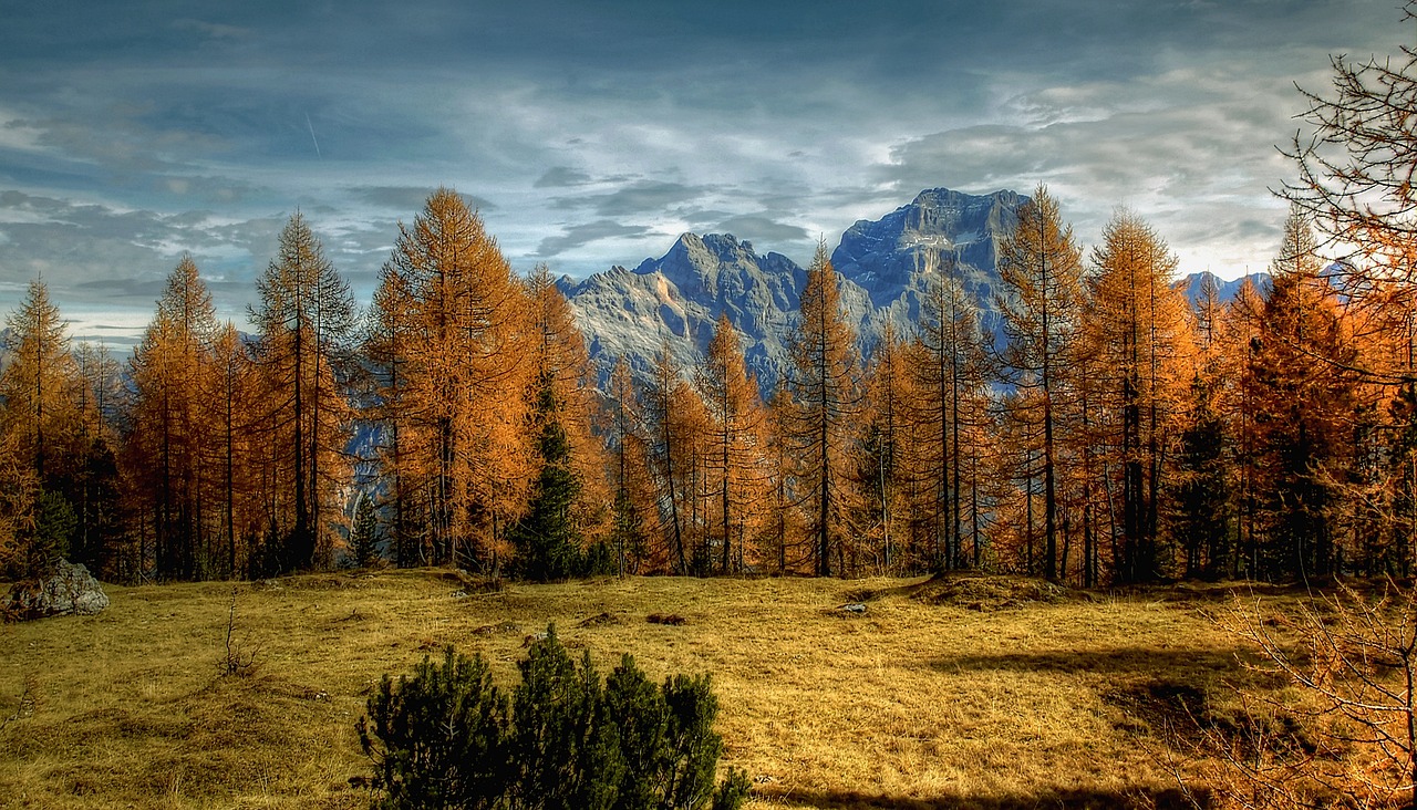 dolomites  sorapiss  alm free photo