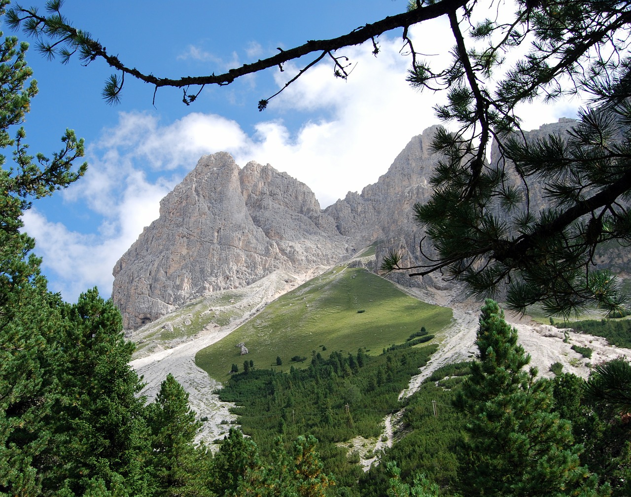 dolomites trees mountains free photo