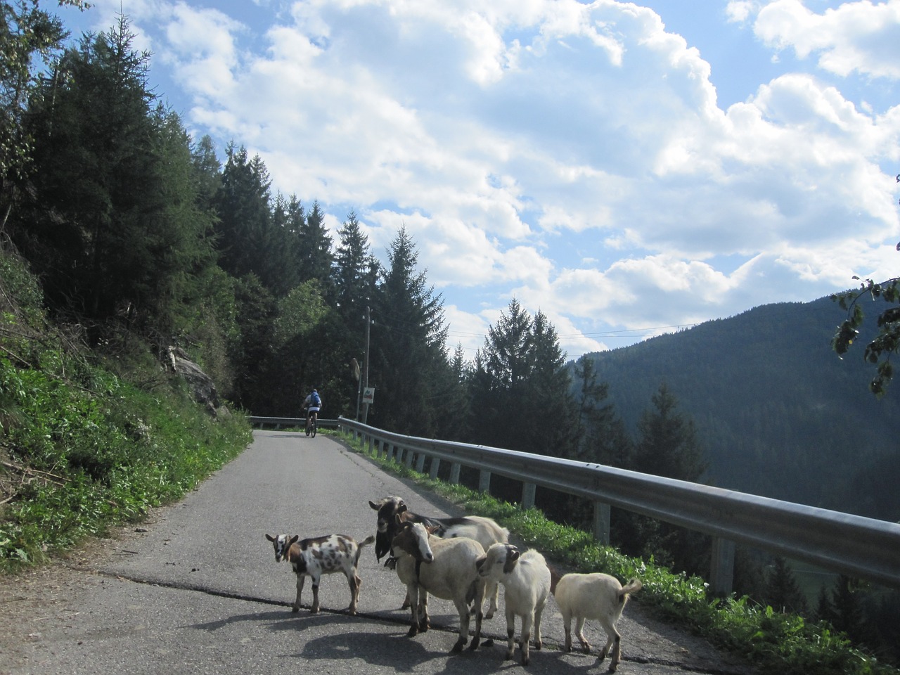 dolomites mountains landscape free photo