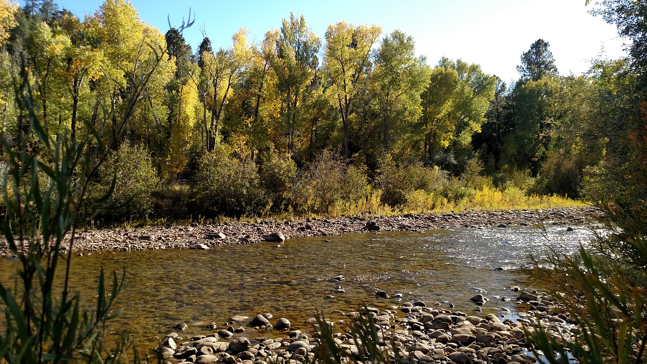 dolores  colorado  river free photo