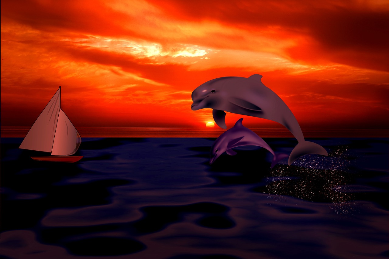 dolphin sailing vessel sunset free photo