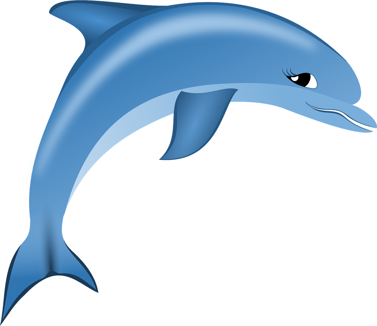 dolphin sea free vector graphics free photo