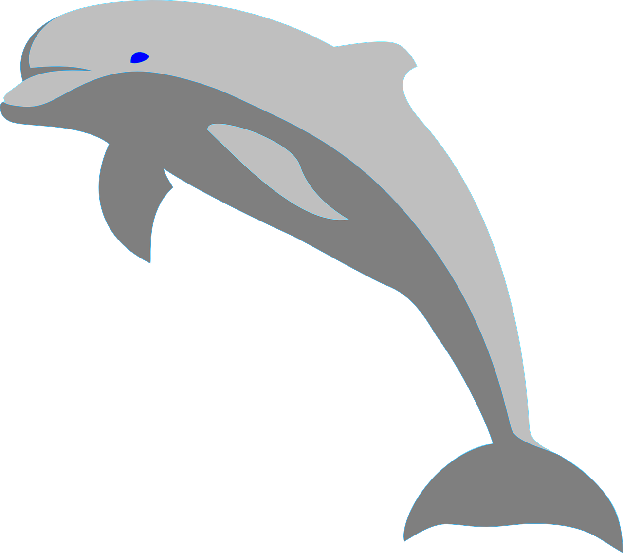 dolphin fish porpoise free photo