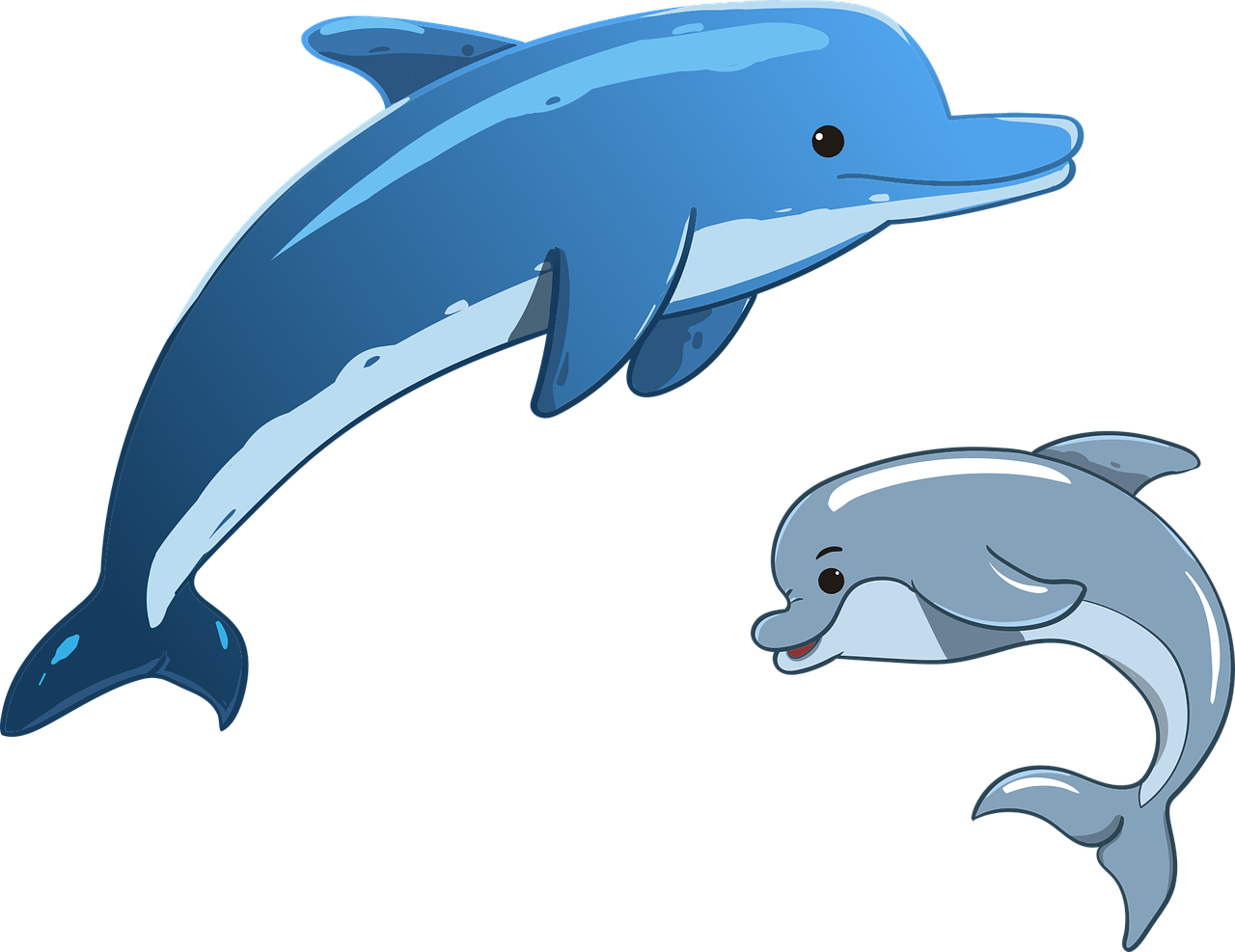 dolphin  sea  animals free photo