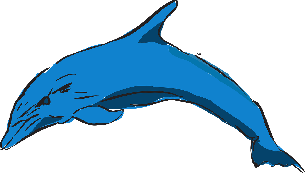 dolphin blue ocean free photo