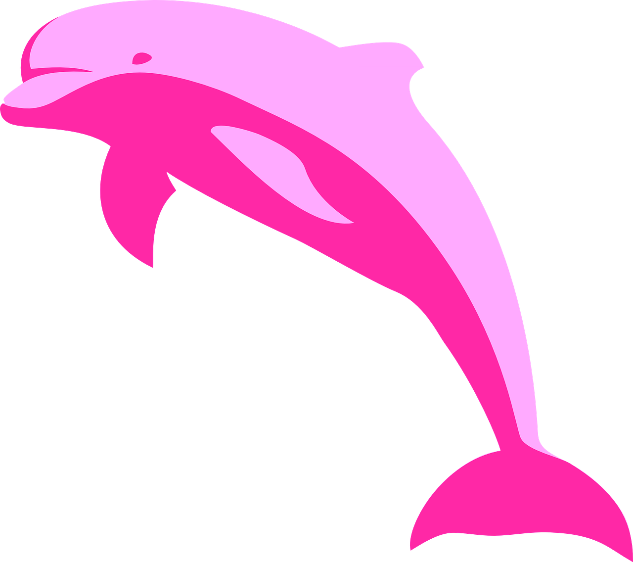 dolphin mammal pink free photo