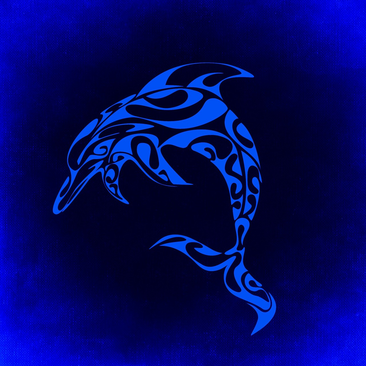 dolphin mystical background free photo