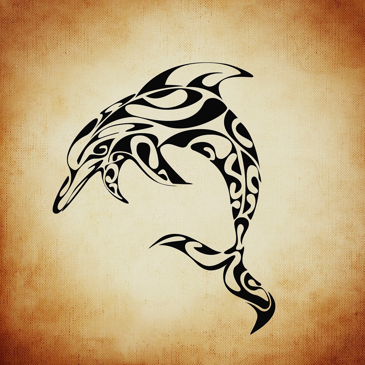 dolphin mystical background free photo