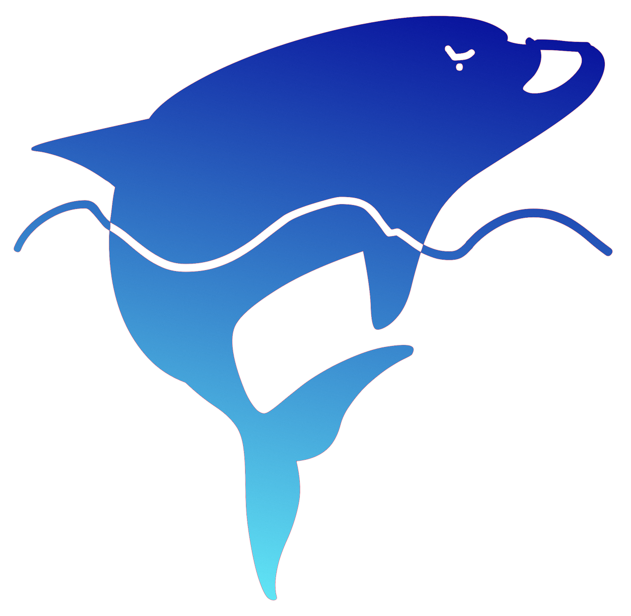 dolphin sea blue free photo
