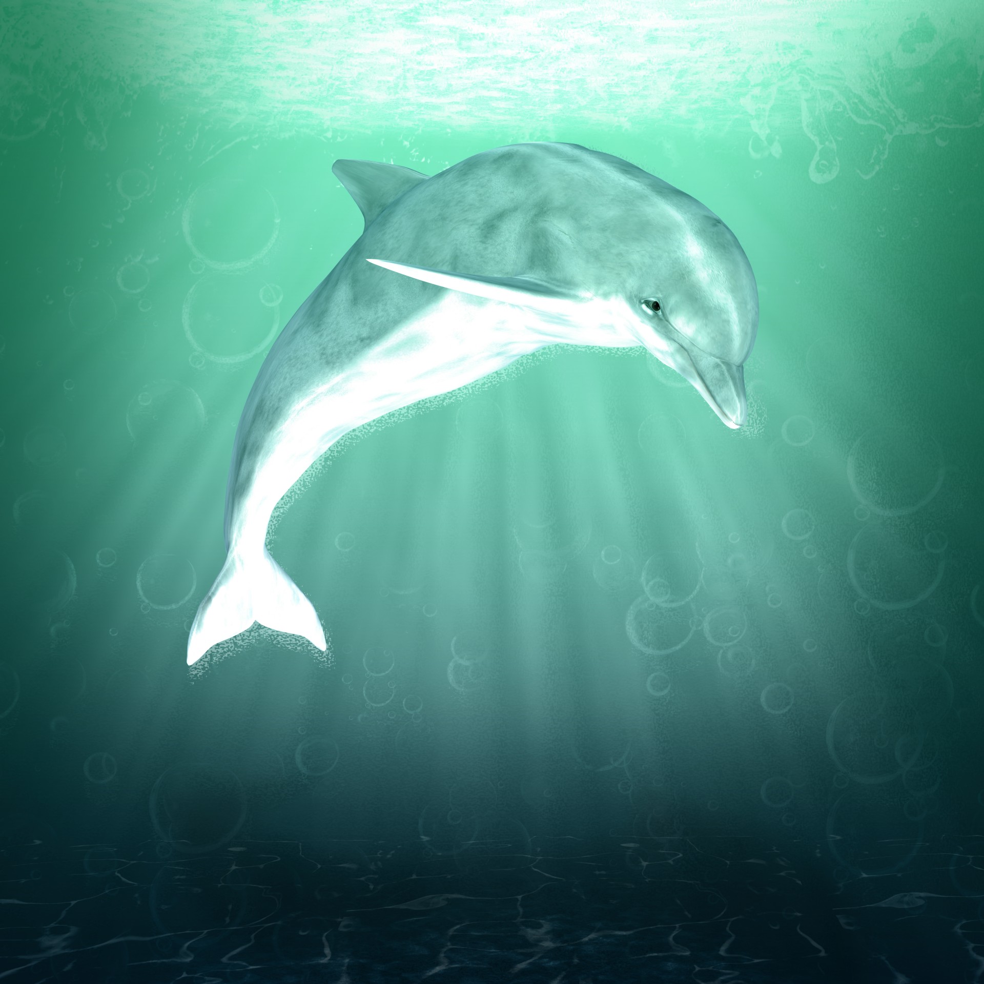 dolphin fantasy water art clipart dolphine mama free photo