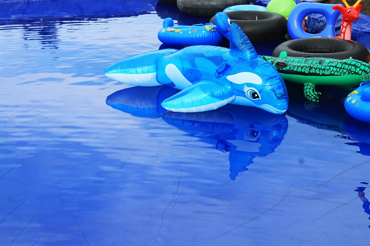 dolphins toys blue water free photo