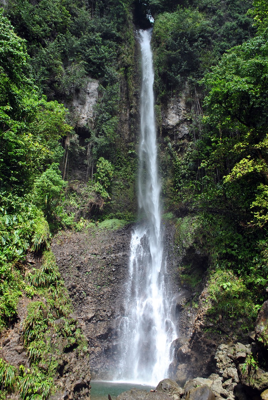 dominica waterfall rainforest free photo