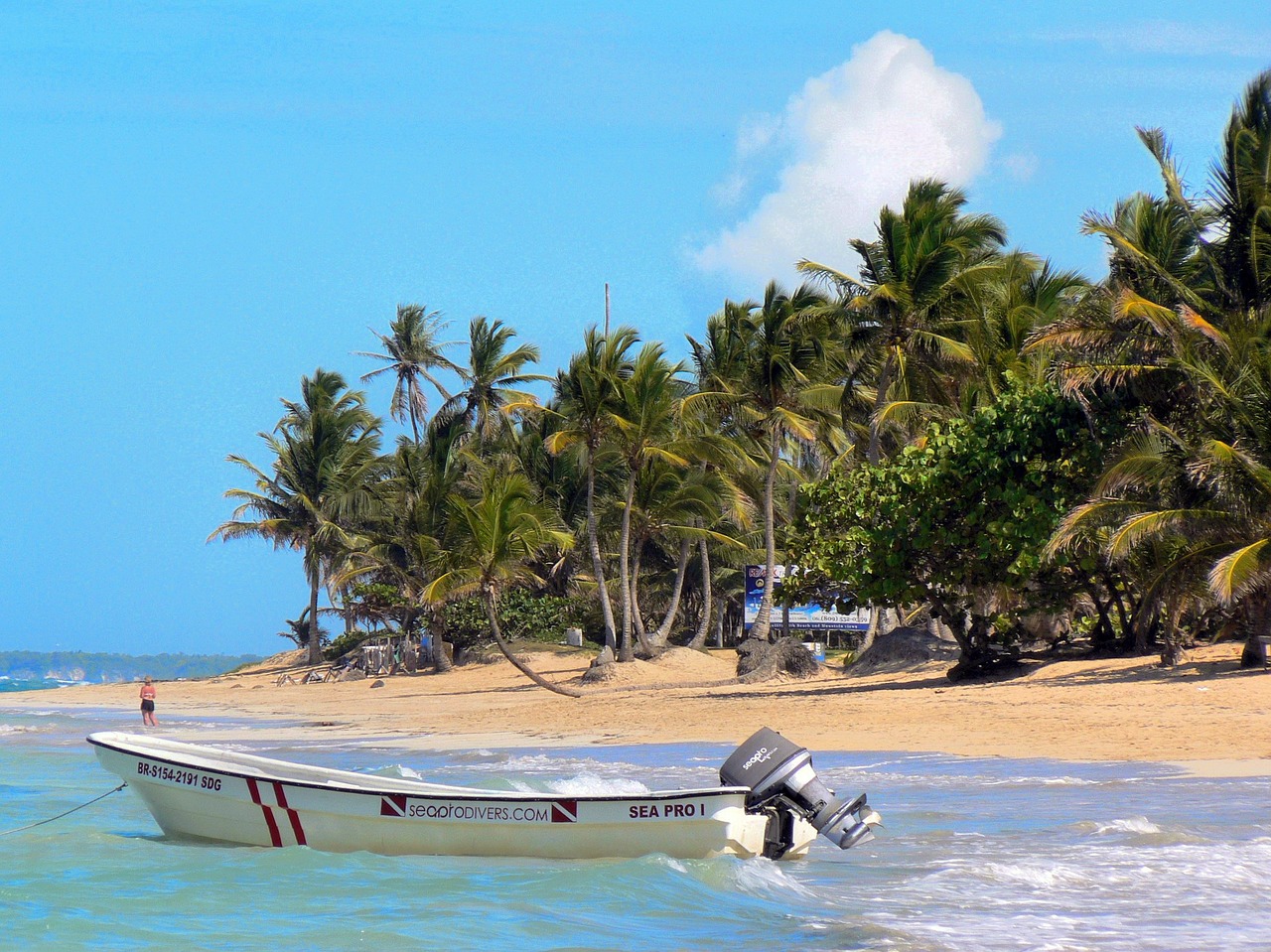 dominican republic boat beach free photo