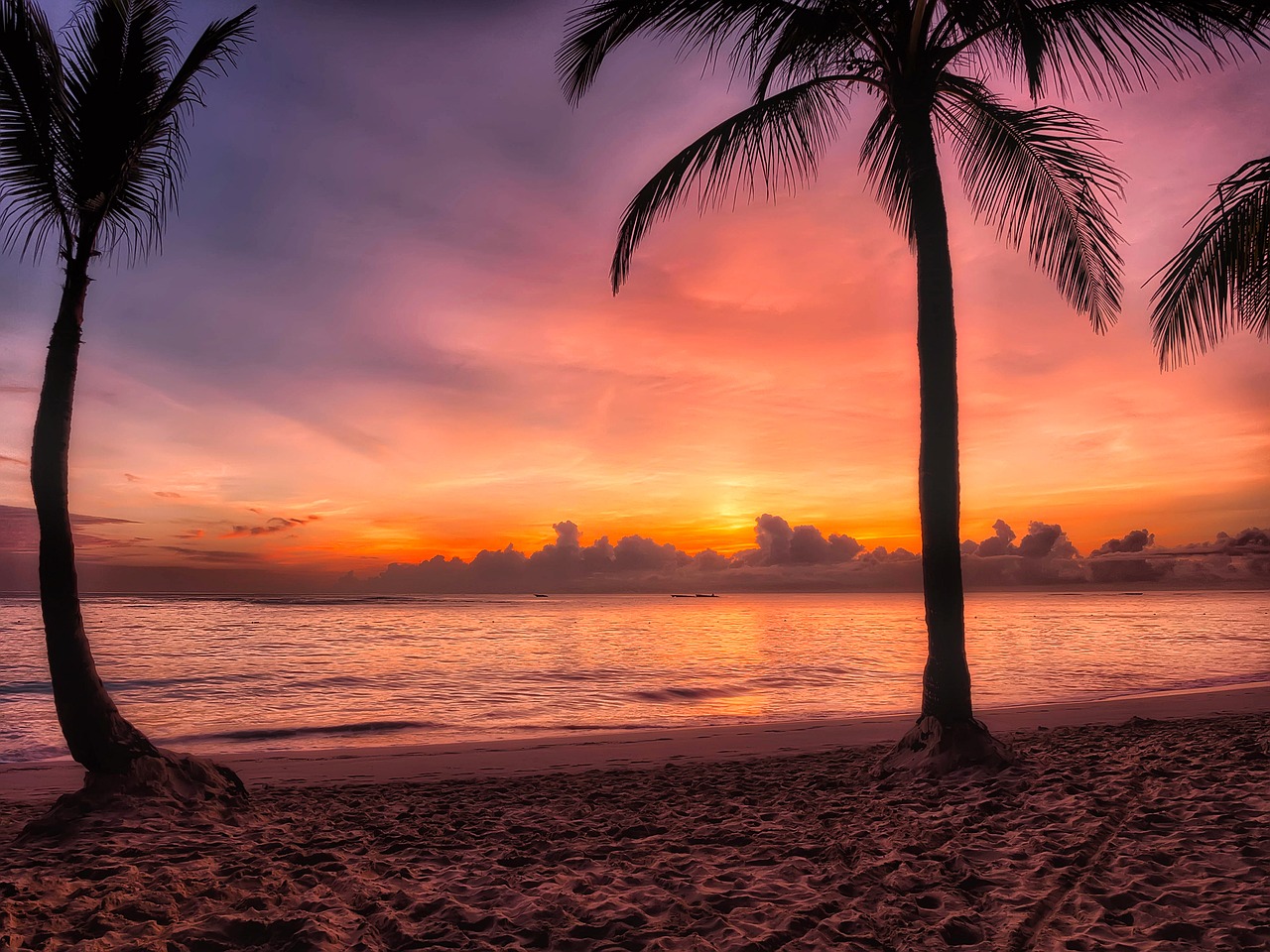 dominican republic sunrise dawn free photo