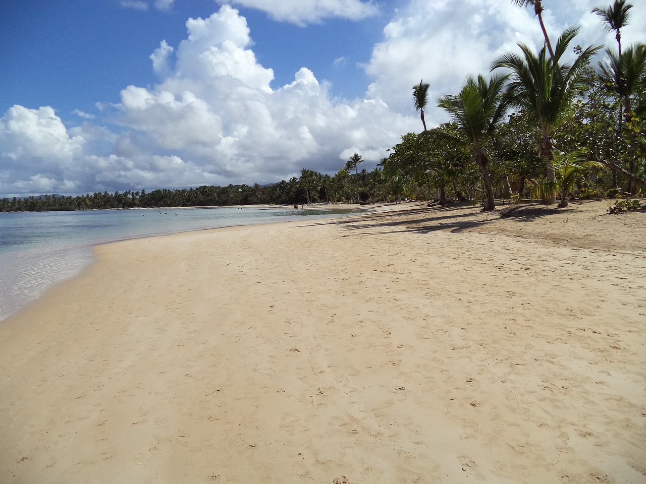 dominican republic sand beach beach free photo