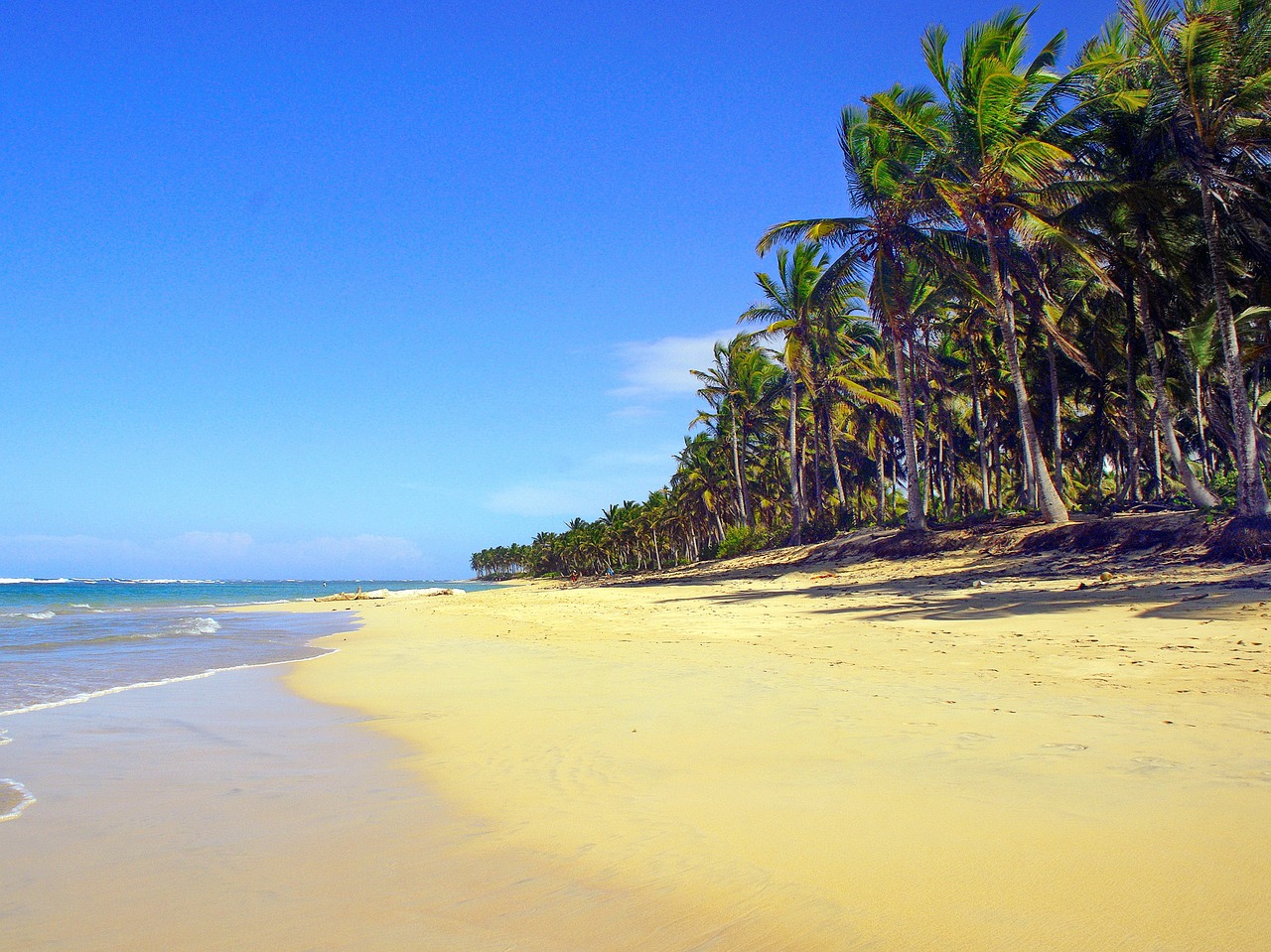 dominican republic punta cana beach free photo