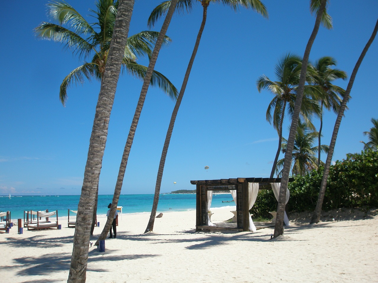 dominican republic beach sea free photo