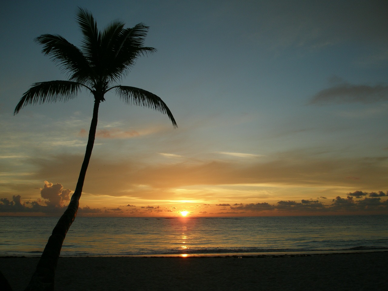 dominican republic beach sunrise free photo