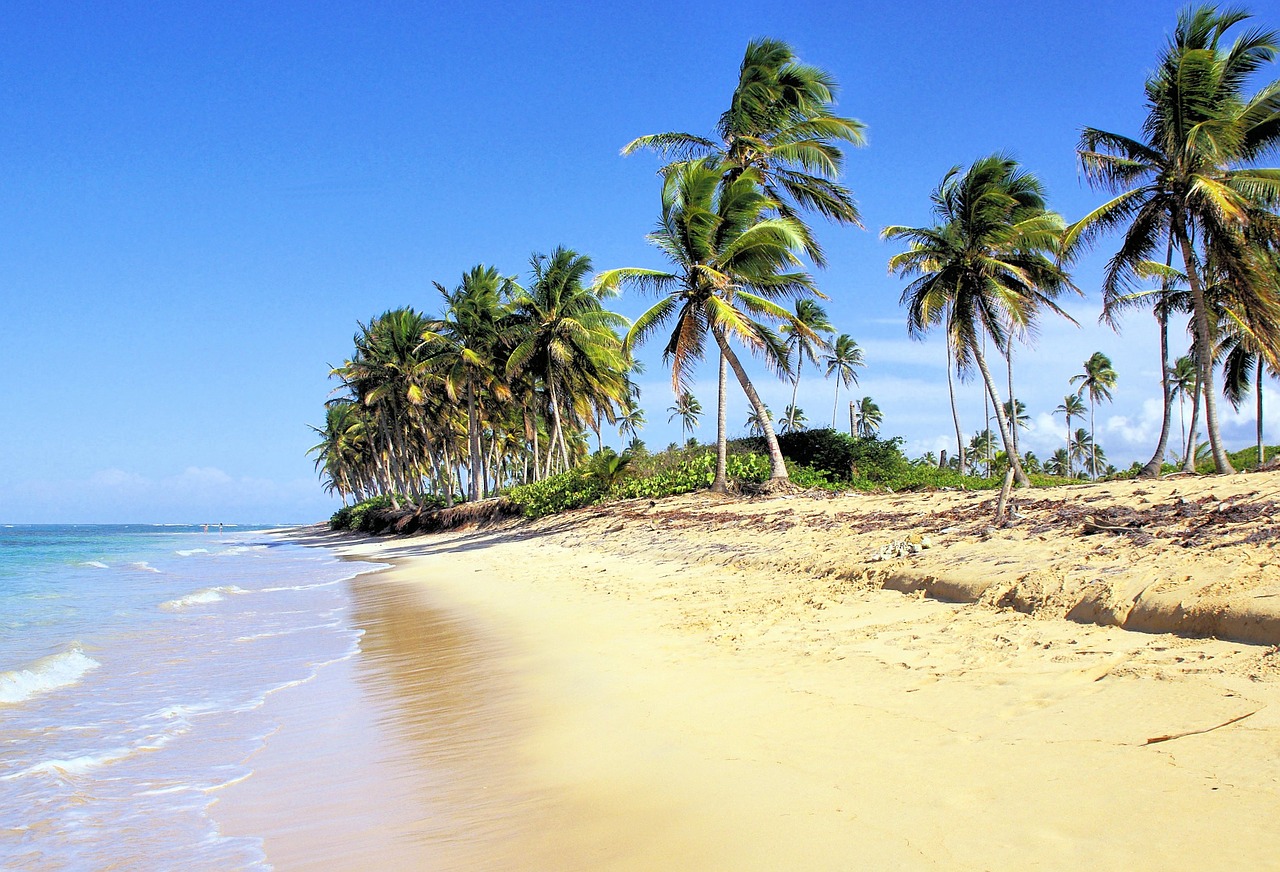 dominican republic beach bavaro free photo