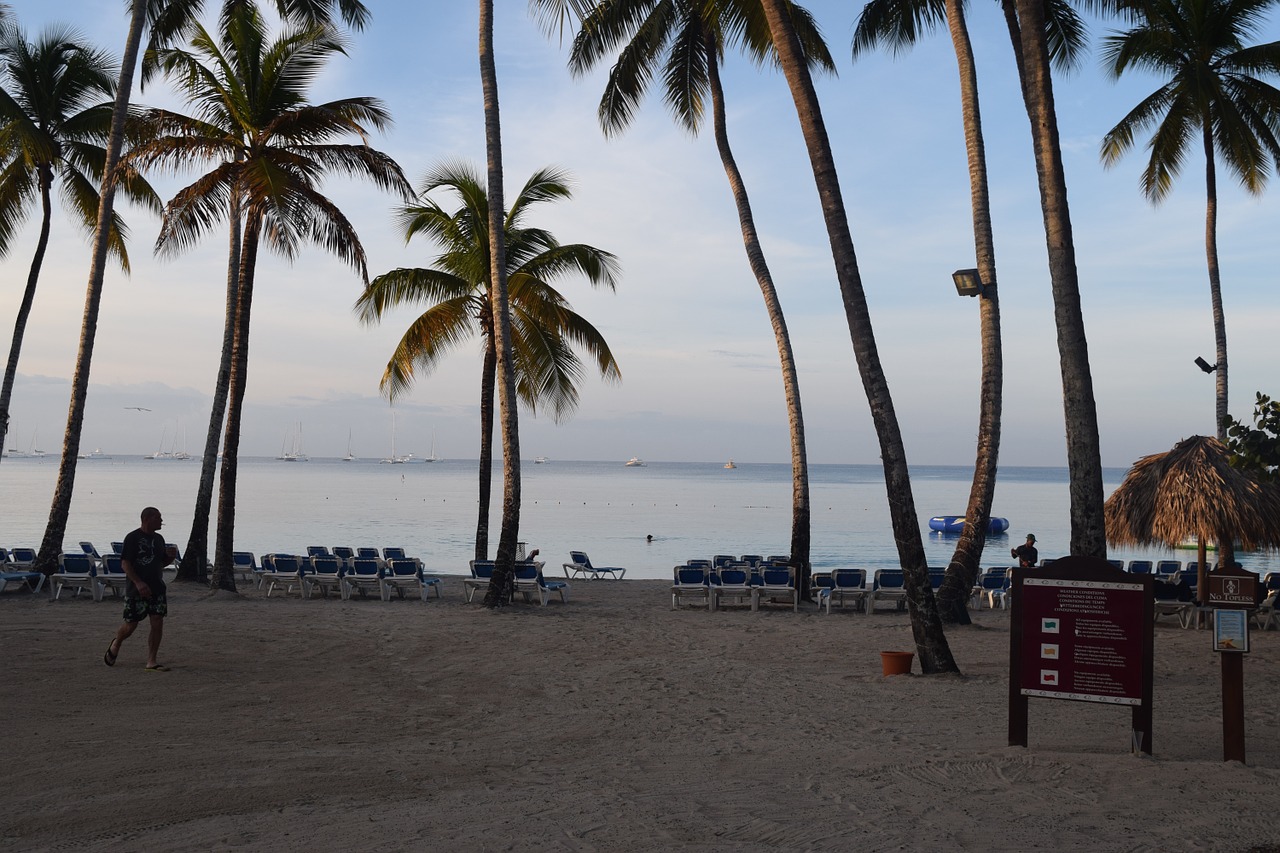 dominican republic island beach free photo