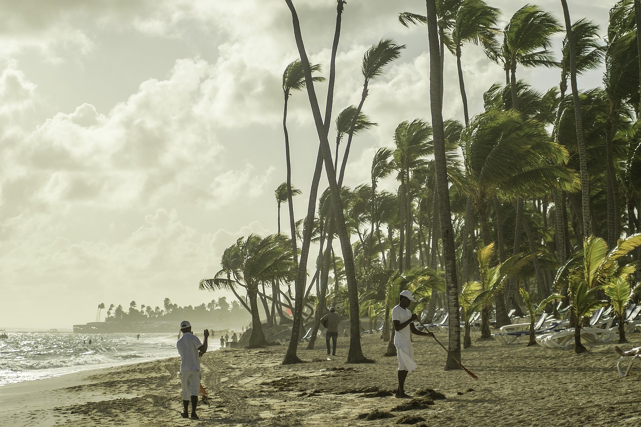 dominicana punta cana beach free photo