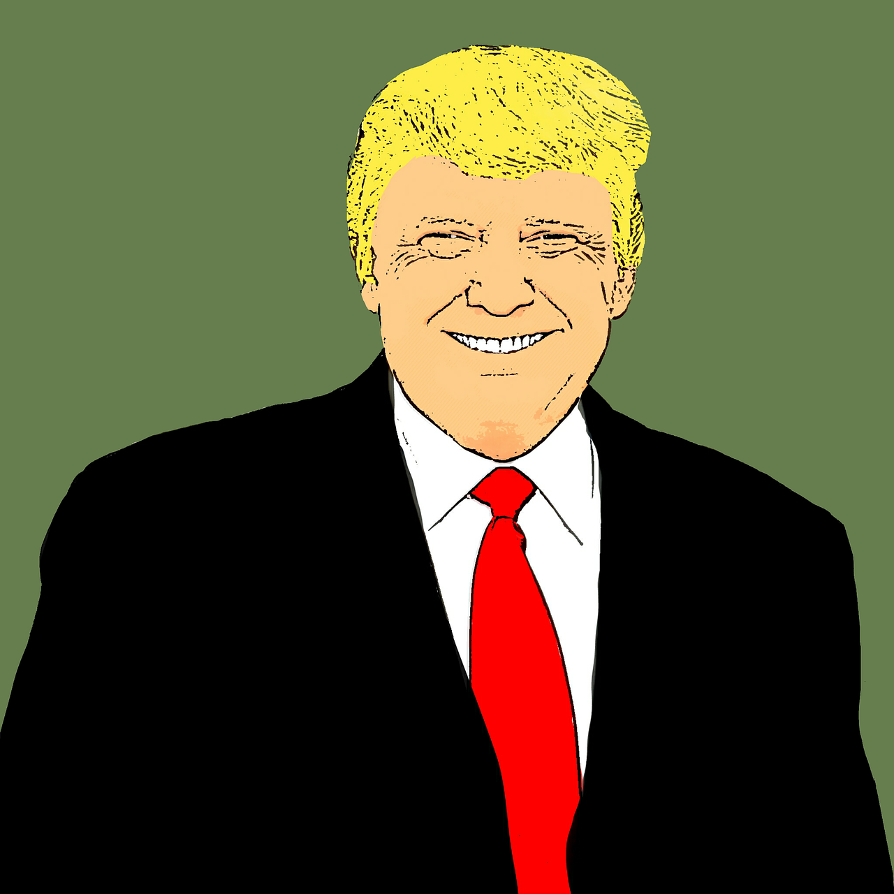donald trump president of the united states donald free photo