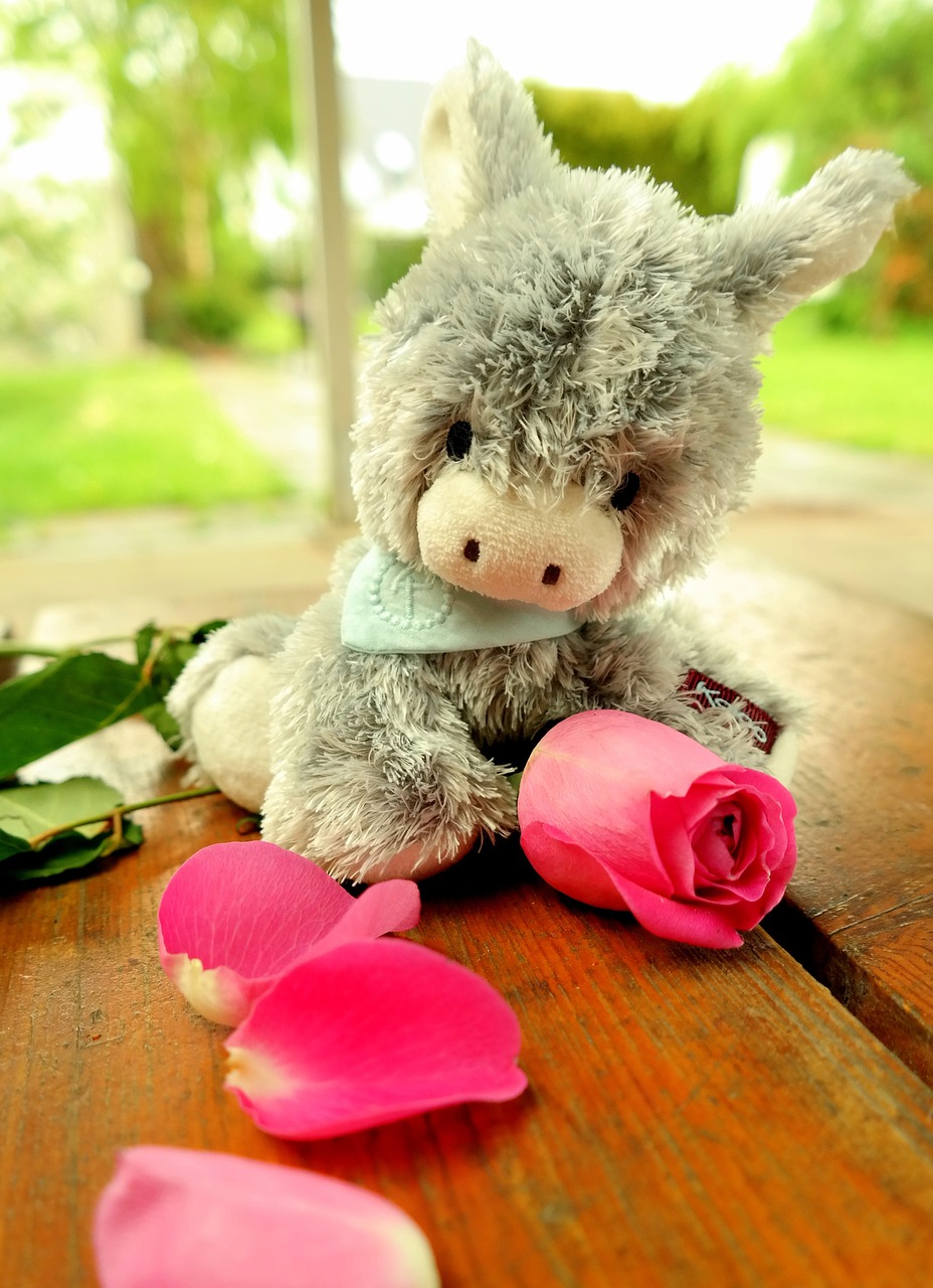 Download free photo of Donkey,teddy bear,soft toy,stuffed animal,rose ...