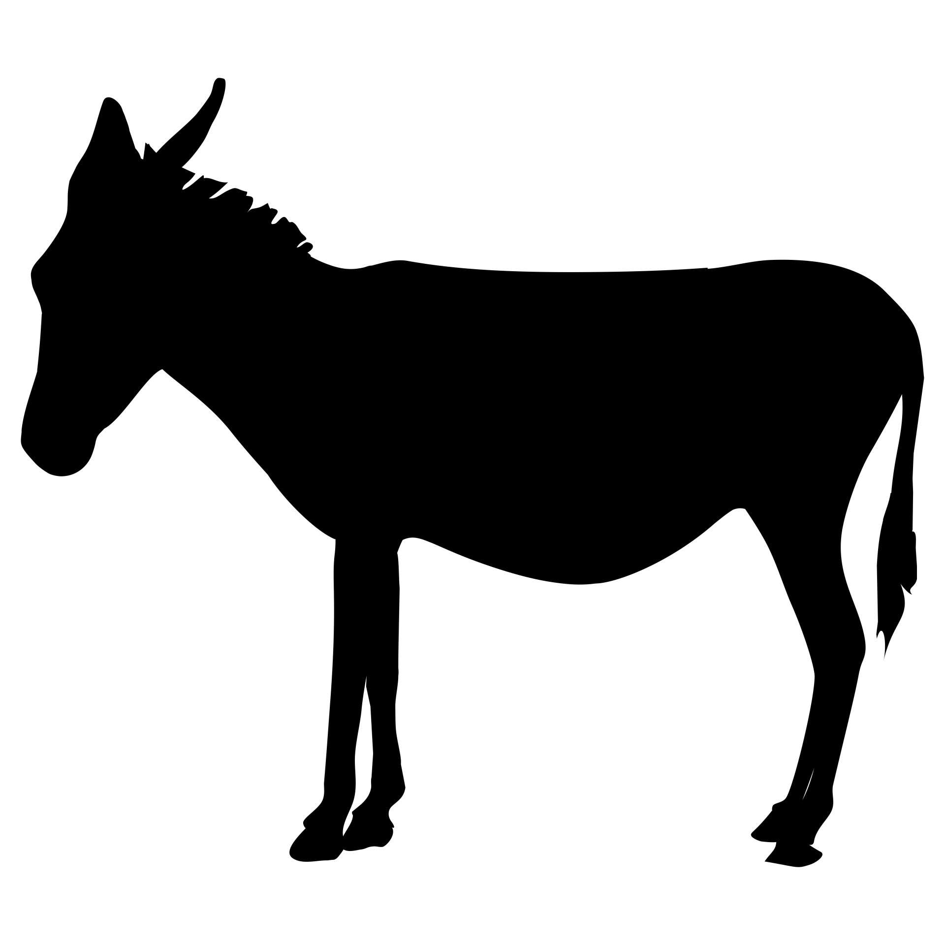 donkey on black free photo