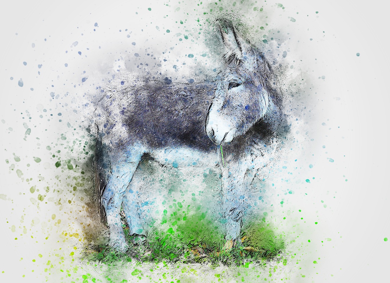 donkey animal art free photo
