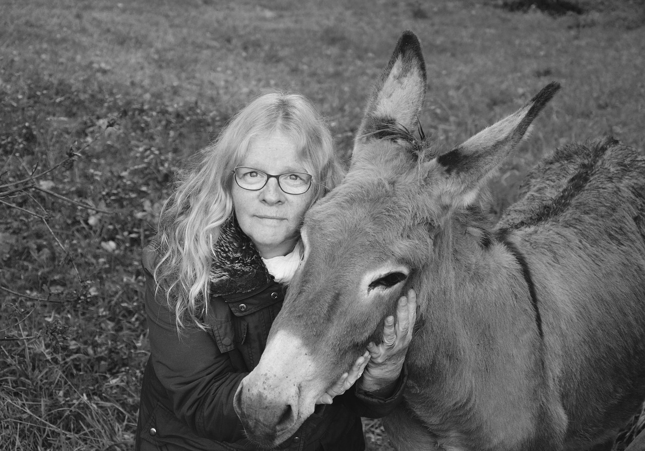 donkey woman complicity free photo