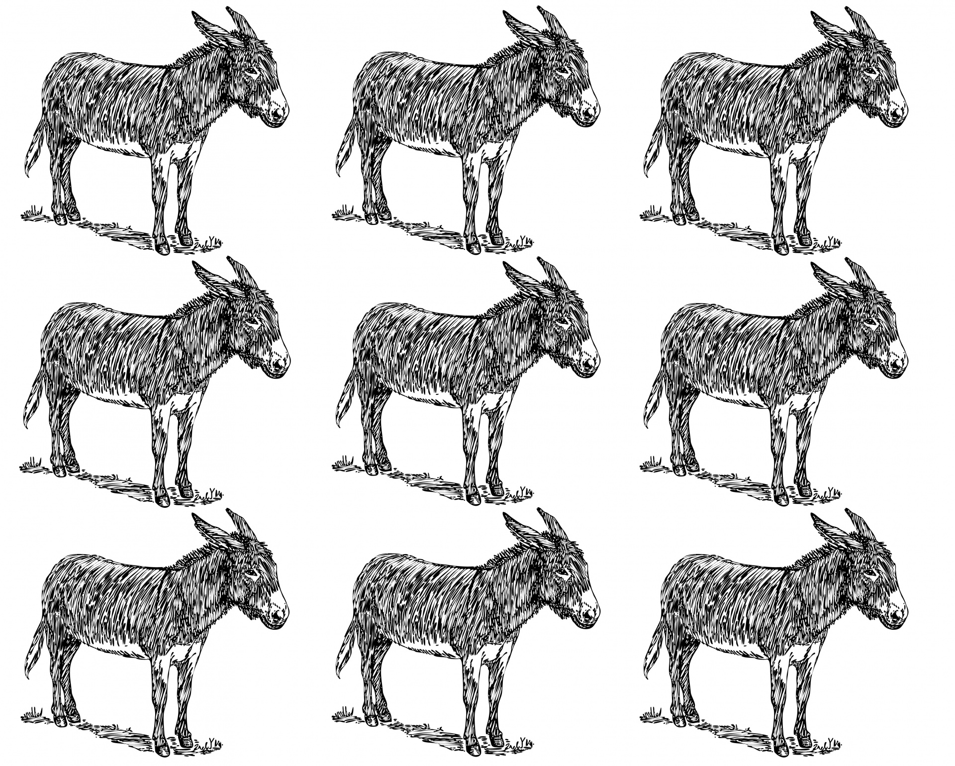 donkeys,wallpaper,paper,background