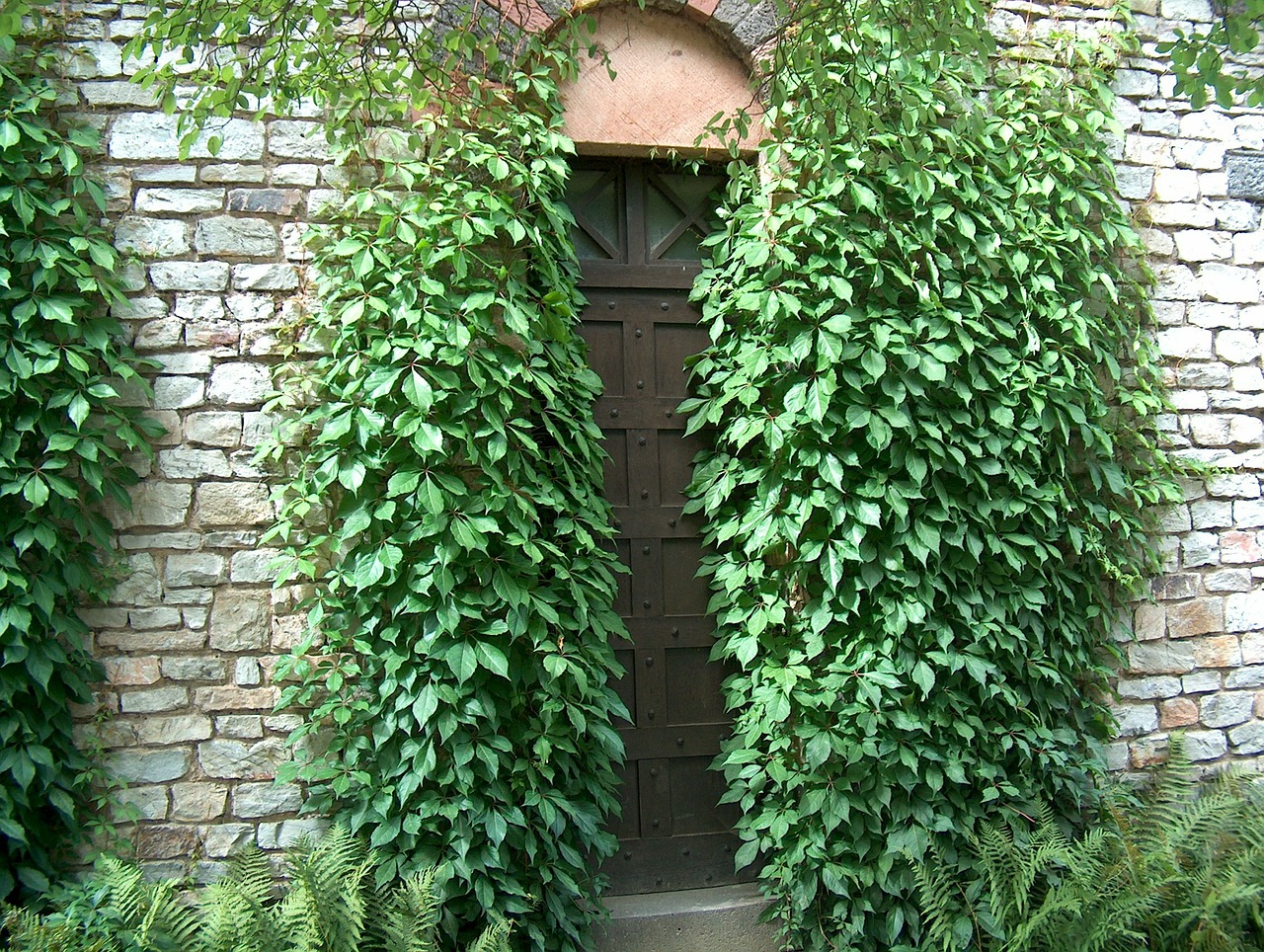 door goal input free photo
