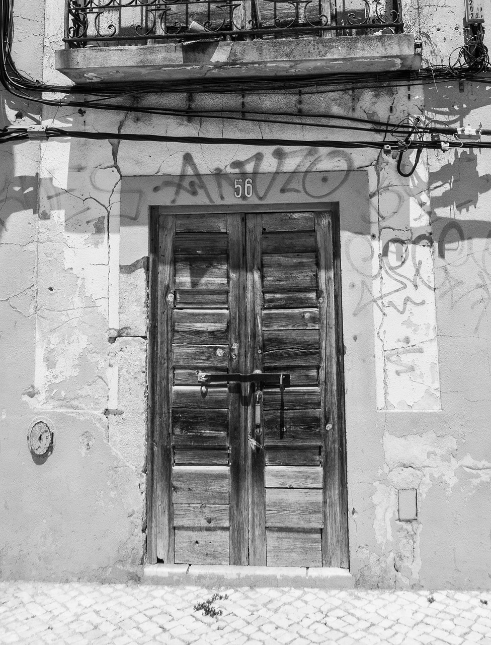 door decadence facade free photo