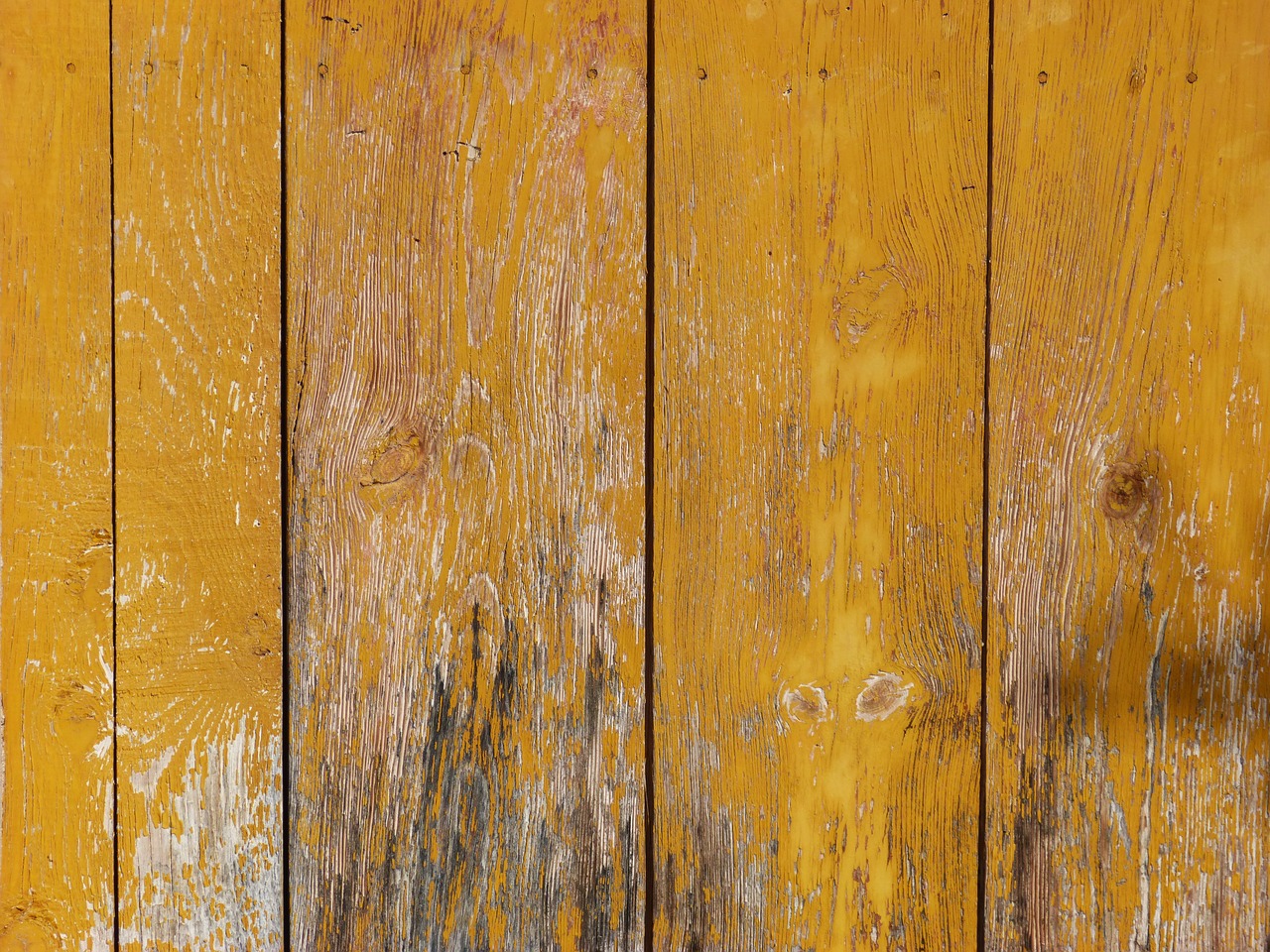 door wood texture free photo