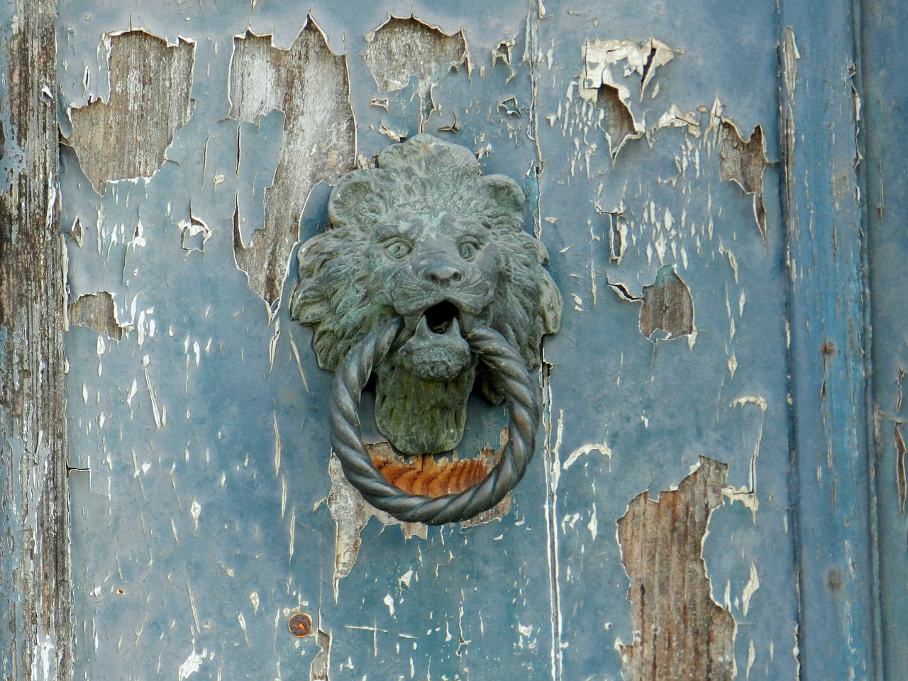 door blue door knocker free photo