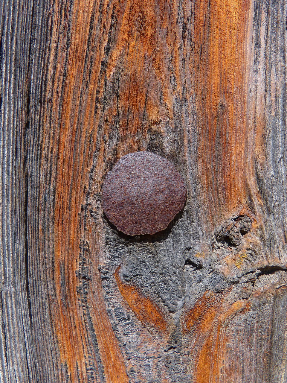 door nail texture free photo