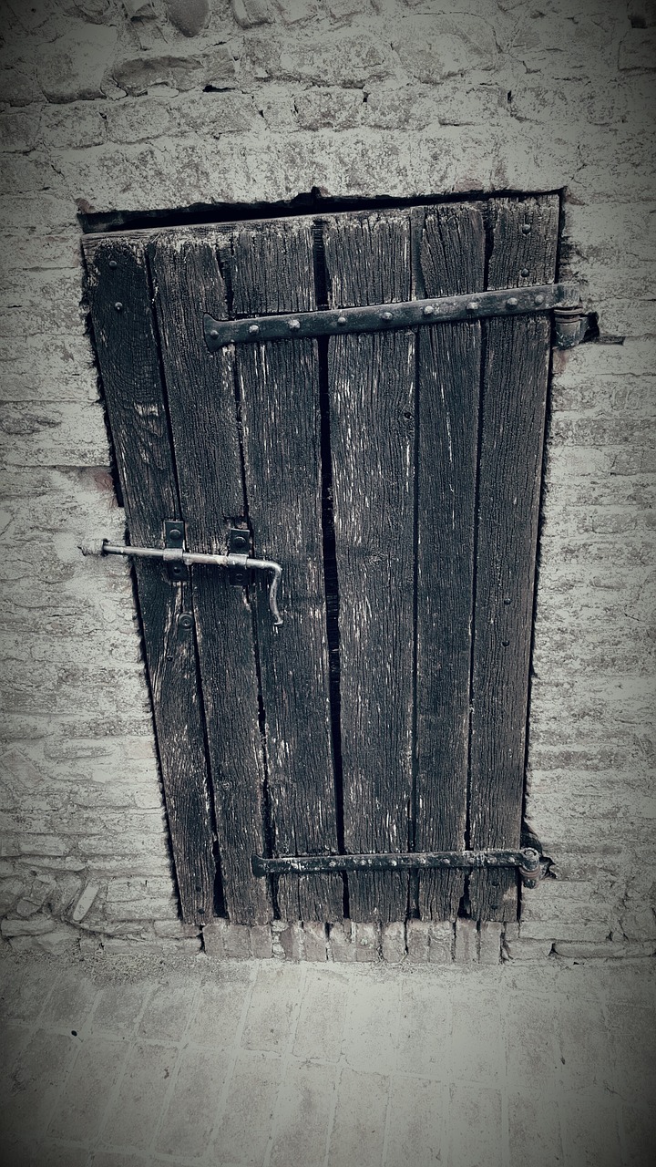 door antique doorway free photo