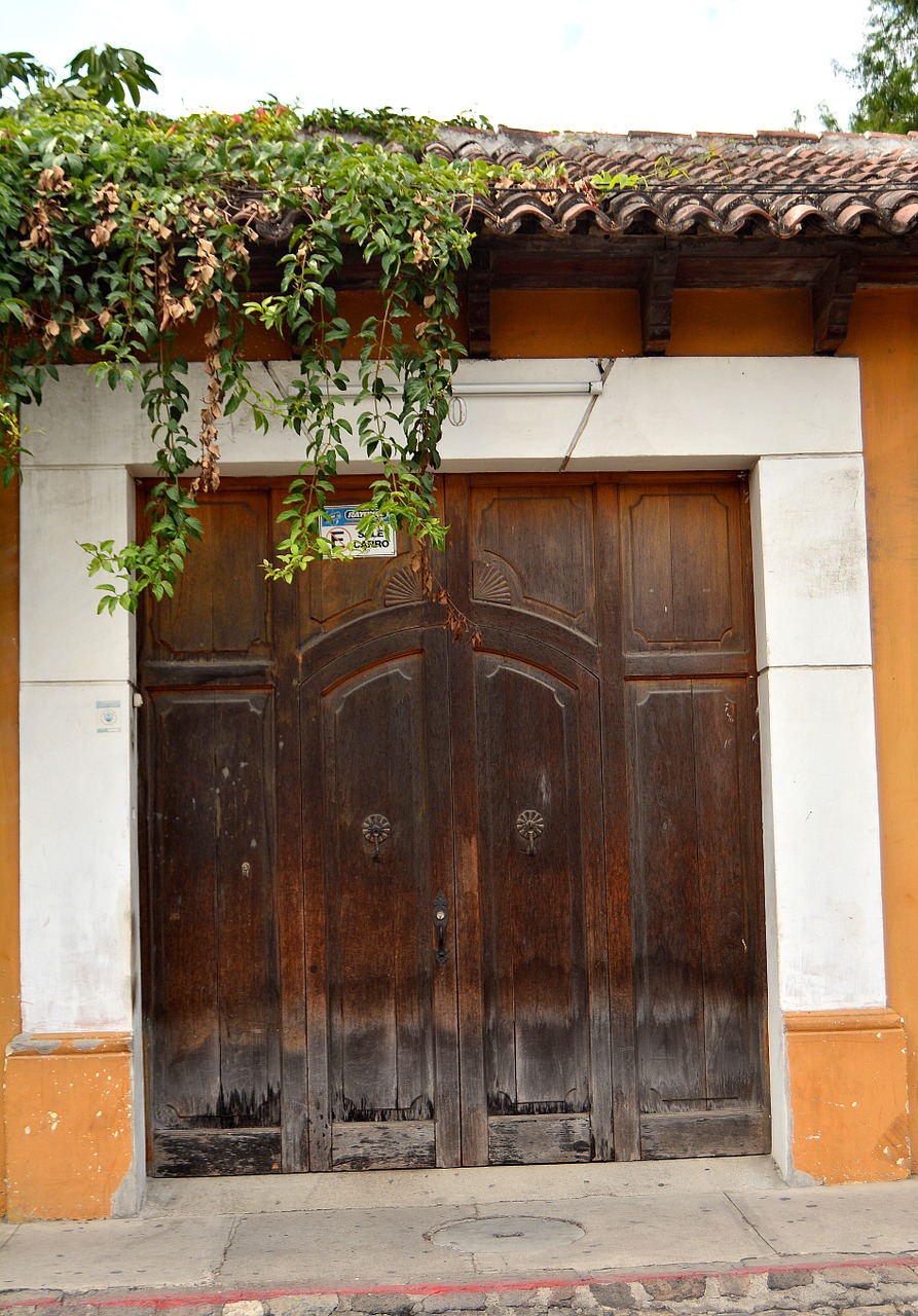 door wood wooden door free photo