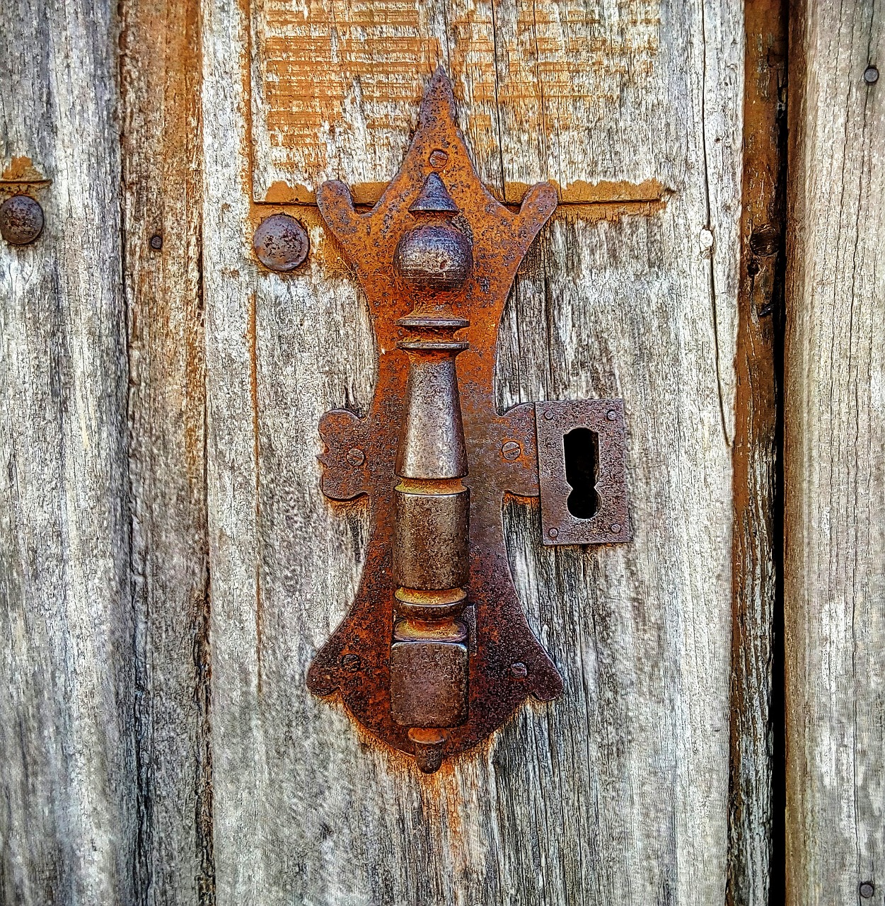 door door knocker lock free photo