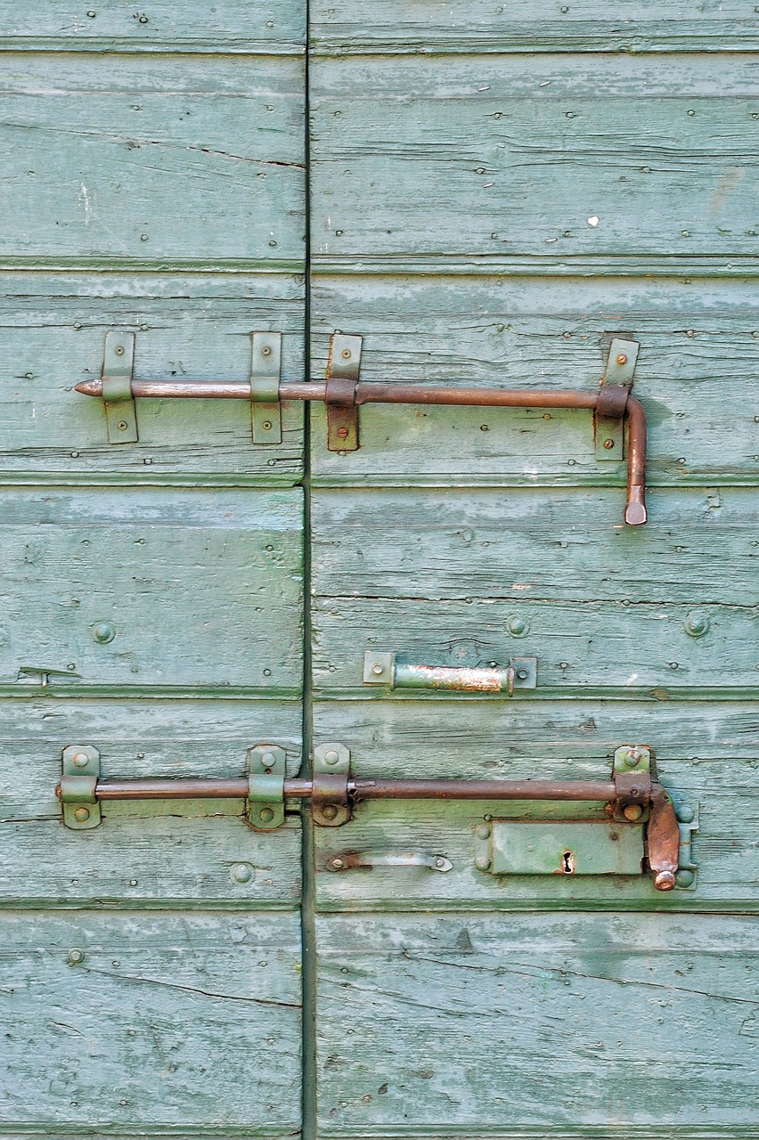 door wood texture free photo