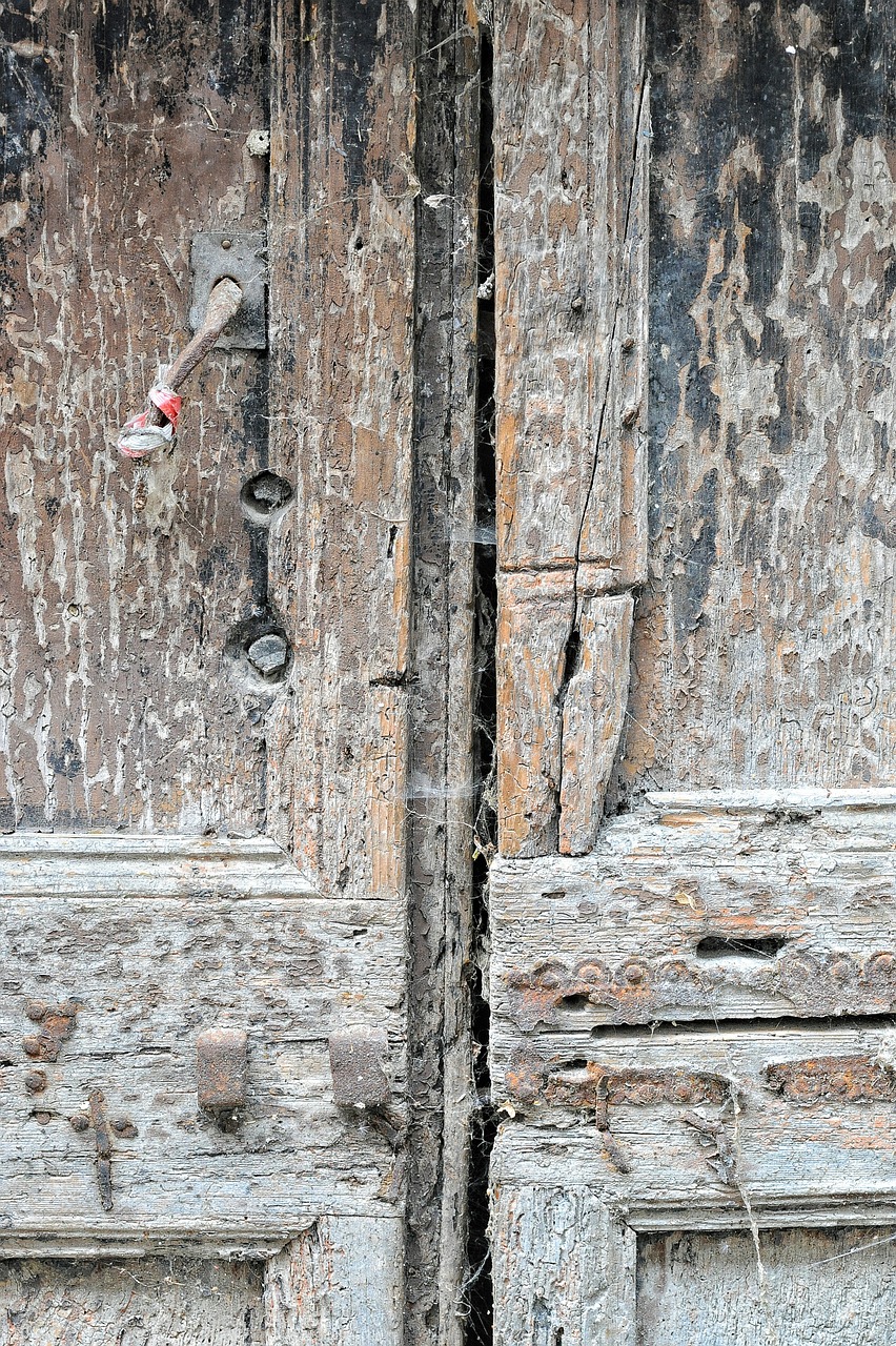 door wood texture free photo