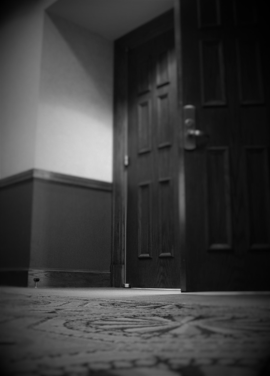 door black and white light free photo