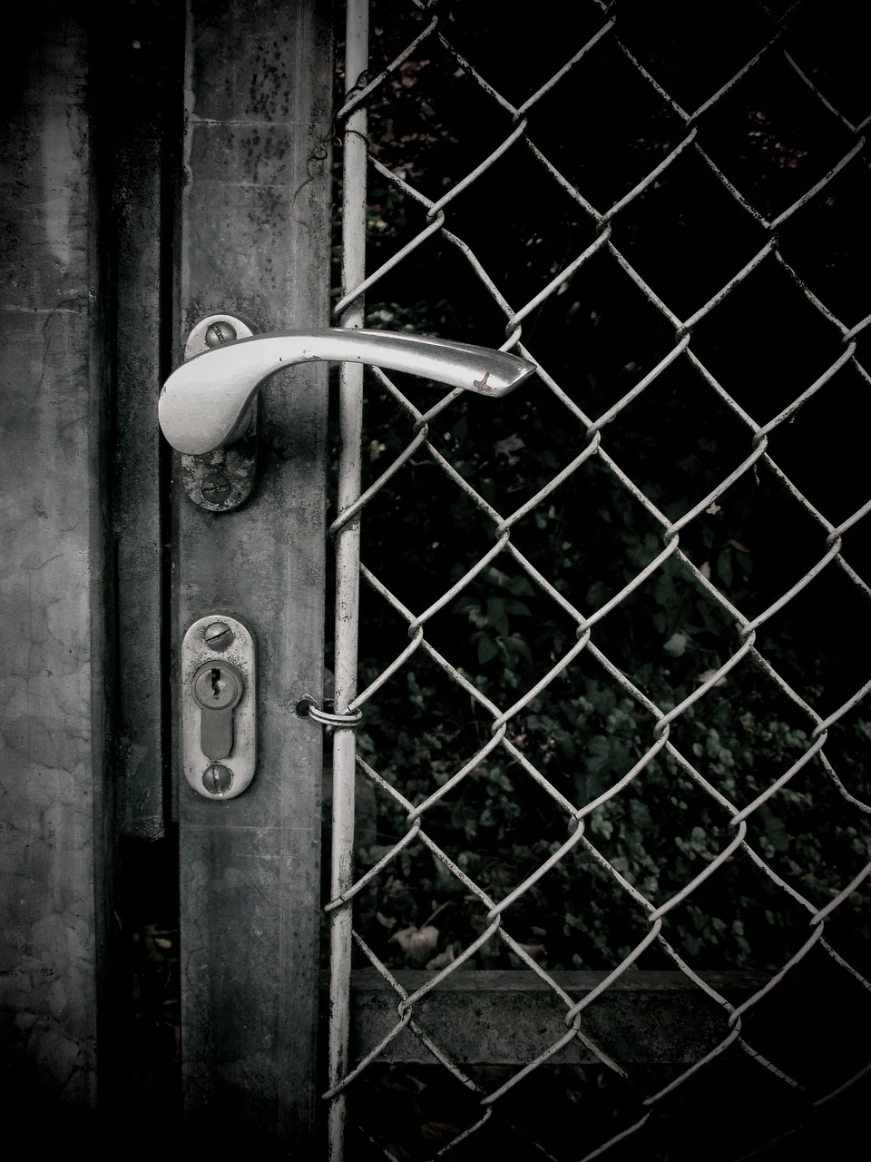 door door lock door handle free photo