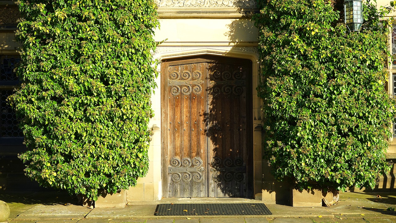 door wooden entrance free photo